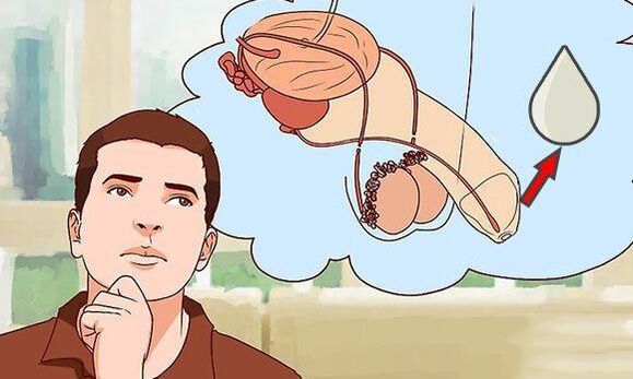 Download in men when they get excited