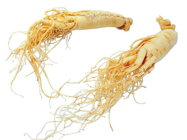 ginseng root to enhance